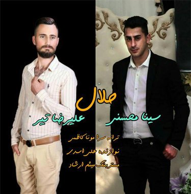 سینا محسنی و علیرضا تیر حلال